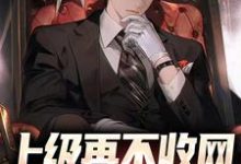完结版《上级再不收网，我就成老大了》章节阅读-贝壳文学