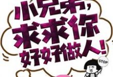 求小兄弟，求求你好好做人！小说免费资源-贝壳文学