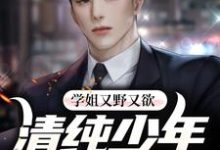 学姐又野又欲，清纯少年他红了脸萧辰林岚小说免费阅读-贝壳文学