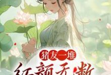 猪友一堆，红颜无数，这叫年少有为裴双郑子林，猪友一堆，红颜无数，这叫年少有为最新章节-贝壳文学