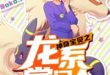 完结版《神奇宝贝之龙系掌门人》在线免费阅读-贝壳文学