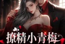 撩精小青梅:竹马队长超宠小说无弹窗阅读的网站推荐-贝壳文学