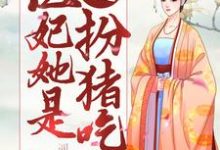邪王独宠:医妃她是扮猪吃虎楚若灵尹傲天在线章节免费阅读-贝壳文学