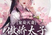 宠妾灭妻:傲娇太子放肆宠小说全文阅读需要付费吗?寻找免费资源-贝壳文学