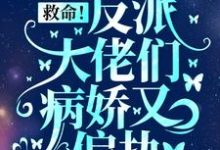 男女主人公叫盛暖的小说免费资源-贝壳文学