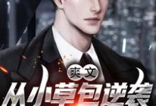 完结版《爽文！从小草包逆袭成一方大鳄》章节阅读-贝壳文学