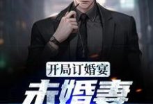 免费看开局订婚宴，未婚妻弃我而去小说的网站有哪些？-贝壳文学