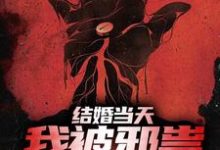 小说《结婚当天，我被邪祟拿了一血》章节免费阅读-贝壳文学