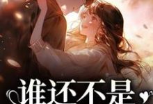 求谁还不是开飞机的了小说免费资源-贝壳文学