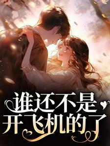求谁还不是开飞机的了小说免费资源