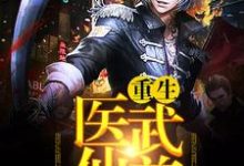 在线寻找苏昊杨若舒蒋清雪袁紫的小说，重生医武仙尊免费阅读-贝壳文学