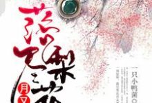 陆灵曦顾临渊的小说在哪里看？免费在线阅读落尽梨花月又西-贝壳文学