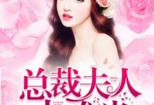 完结版《总裁夫人太难当》在线免费阅读-贝壳文学