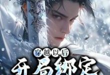 《穿越以后，开局绑定反派系统》小说章节列表免费试读，秦洛小说在线阅读-贝壳文学