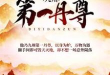 九州第一丹尊小说,九州第一丹尊章节在线阅读-贝壳文学