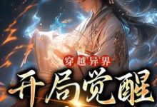 穿越异界，开局觉醒地阶灵脉叶无双小说在线章节免费阅读-贝壳文学