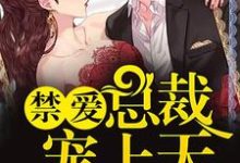 免费看禁爱总裁宠上天小说的网站有哪些？-贝壳文学