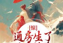 免费在线阅读惊!通房生了世子府继承人小说的正规网站有哪些?-贝壳文学