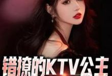 错撩的KTV公主是我的顶头上司小说，错撩的KTV公主是我的顶头上司最新章节-贝壳文学