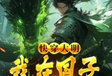 《快穿大明：我在国子监当博士》小说大结局免费试读 沈飞朱元璋小说-贝壳文学