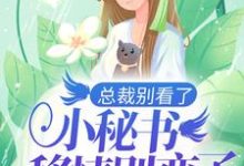 《总裁别看了，小秘书移情别恋了》小说大结局免费试读  姜佳宁薛凛安小说-贝壳文学