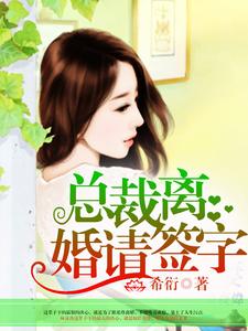 寻找总裁，离婚请签字小说的最新更新章节