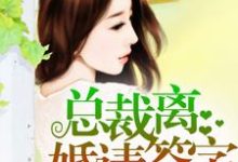 总裁，离婚请签字林沫冉祁尊，总裁，离婚请签字小说免费阅读-贝壳文学