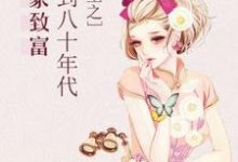 重生之回到八十年代发家致富苏袖袖季成安姜昱顾圆圆小说在线章节免费阅读-贝壳文学