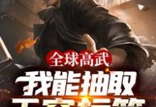 全球高武：我能抽取无穷标签秦昊离诺小说免费阅读-贝壳文学
