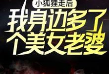 小狐狸走后，我身边多了个美女老婆小说最新更新在哪里？免费在线看-贝壳文学