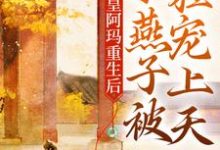 皇阿玛重生后，小燕子被狂宠上天小燕子皇阿玛在线章节免费阅读-贝壳文学
