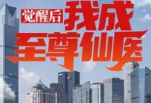 唐峰叶倾城是哪本书的主角？觉醒后，我成至尊仙医免费读-贝壳文学