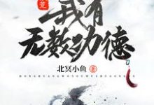 小说《洪荒:我有无数功德》章节免费阅读-贝壳文学