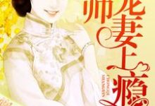 少帅宠妻上瘾免费阅读,少帅宠妻上瘾章节目录-贝壳文学
