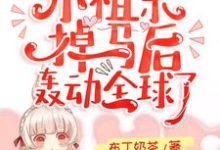 小说《霍爷的小祖宗掉马后轰动全球了！》在线章节阅读-贝壳文学