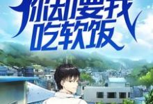 想读 叶峰楚烟儿的故事，哪里可以免费找到我医术无双，你却要我吃软饭？？-贝壳文学