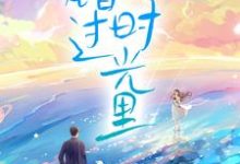 错过时光里小说的所有章节都能在哪里免费读到?-贝壳文学
