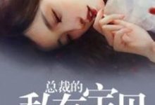 总裁的私有宝贝小说全文阅读需要付费吗？寻找免费资源-贝壳文学