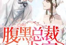 顾卿歌陆长霆小说在线章节免费阅读（腹黑总裁心尖宠无弹窗无删减）-贝壳文学