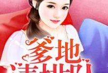 萌宝三只：爹地请排队小说的免费阅读版本在哪里可以找到？-贝壳文学