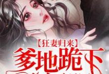 已完结小说《狂妻归来：爹地跪下唱征服》在线章节阅读-贝壳文学
