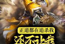 正道都在追杀我,还不让我信奉邪神?小说的免费阅读版本在哪里可以找到?-贝壳文学