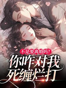 林初禾陆衍川为主角的小说不是要离婚吗？你咋对我死缠烂打在线阅读