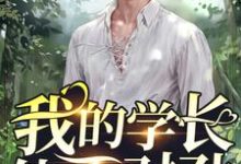 我的学长他不对劲小说全文哪里可以免费看?-贝壳文学
