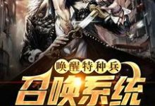 主人公许晨小说唤醒特种兵召唤系统，哥要夷平缅北在线章节阅读-贝壳文学