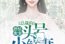 燃情蜜宠：总裁的头号小鲜妻许羡谢临渊，燃情蜜宠：总裁的头号小鲜妻在线无弹窗阅读-贝壳文学