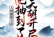 大明模拟万次:他抽到了天胡开局小说完结版章节免费阅读-贝壳文学