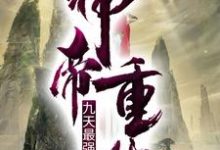 神帝重生:九天最强赘婿叶尘林家叶清逸小说大结局免费试读-贝壳文学