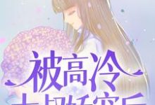宋问盏商则寒为主角的小说叫什么？免费看被高冷大叔娇宠后，我真香了-贝壳文学