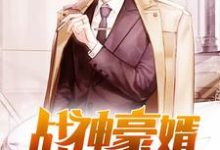 主人公叫林轩秦婉儿林小瑜姬无双的小说哪里免费看-贝壳文学